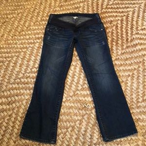 A Pea In The Pod Maternity Bootcut Jeans Size PM